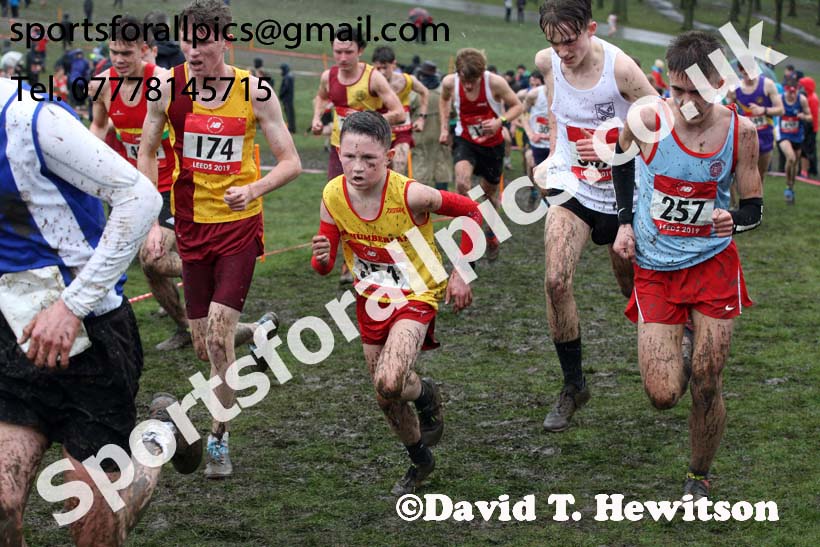 Intermediate boys 2019 New Balance English Schools Cross Country Champs, Temple Newsam, Leeds. Photo:  David T. Hewitson/Sports for All Pics